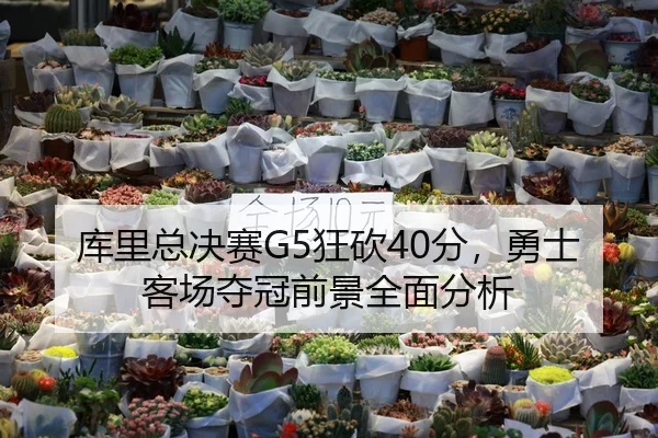 库里总决赛G5狂砍40分，勇士客场夺冠前景全面分析