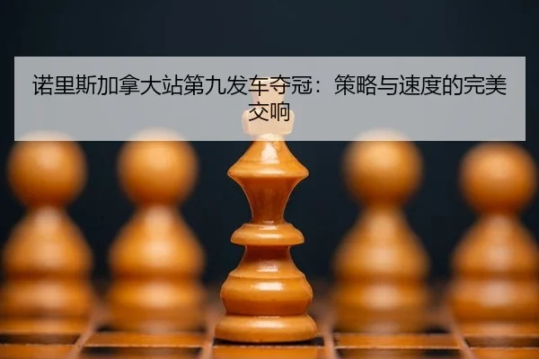 nuo-li-si-jia-na-da-zhan-di-jiu-fa-che-duo-guan-ce-lve-yu-su-du-de-wan-mei-jiao-xiang-2-993.jpg