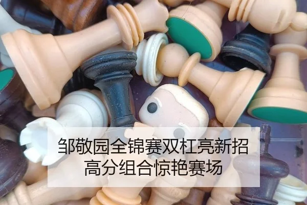 zou-jing-yuan-quan-jin-sai-shuang-gang-liang-xin-zhao-gao-fen-zu-he-jing-yan-sai-chang-2-675.jpg