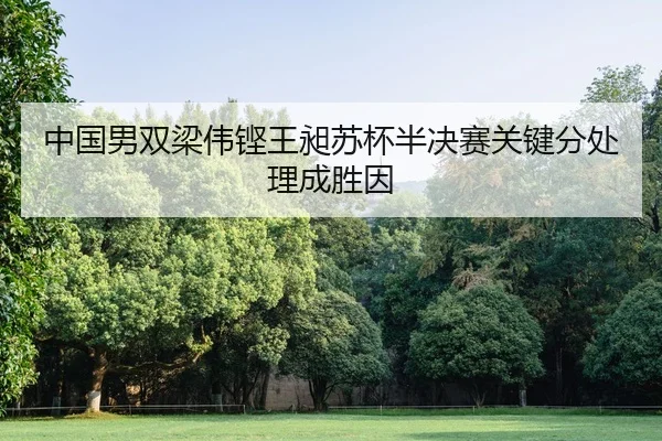 中国男双梁伟铿王昶苏杯半决赛关键分处理成胜因