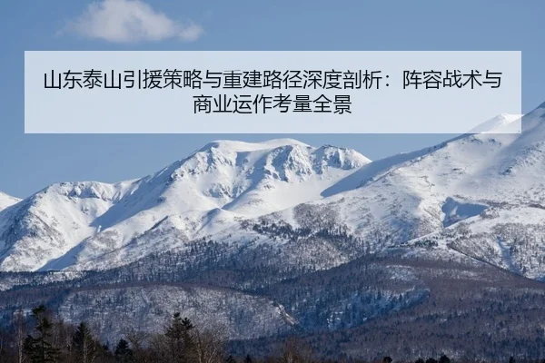 shan-dong-tai-shan-yin-yuan-ce-lve-yu-chong-jian-lu-jing-shen-du-pou-xi-zhen-rong-zhan-shu-yu-shang-ye-yun-zuo-kao-2-297.jpg