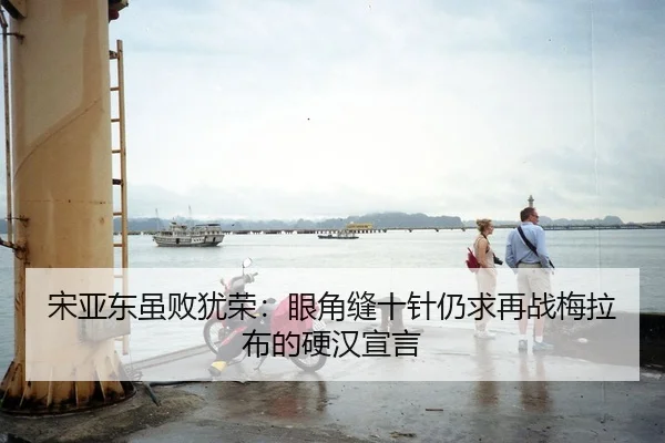 宋亚东虽败犹荣：眼角缝十针仍求再战梅拉布的硬汉宣言