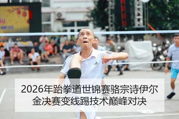 2026年跆拳道世锦赛骆宗诗伊尔金决赛变线踢技术巅峰对决