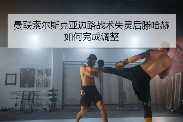 man-lian-suo-er-si-ke-ya-bian-lu-zhan-shu-shi-ling-hou-teng-ha-he-ru-he-wan-cheng-tiao-zheng-2-542.jpg